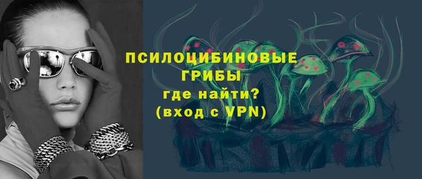 гидропоника Алзамай