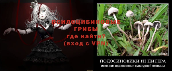 гидропоника Алзамай